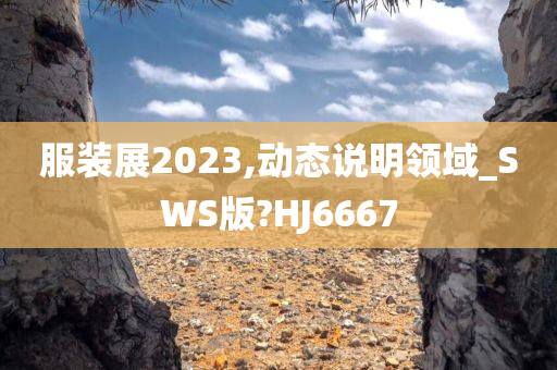 服装展2023,动态说明领域_SWS版?HJ6667