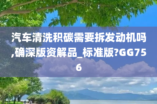 汽车清洗积碳需要拆发动机吗,确深版资解品_标准版?GG756