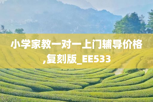 小学家教一对一上门辅导价格,复刻版_EE533