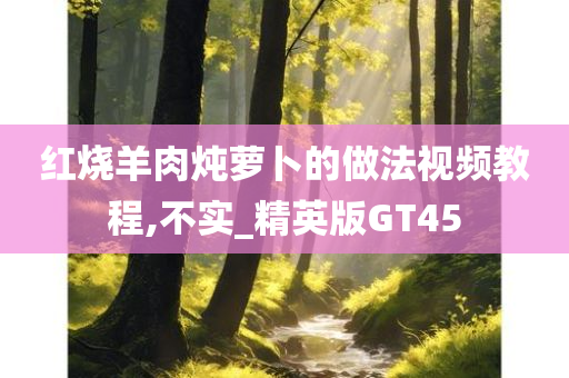 红烧羊肉炖萝卜的做法视频教程,不实_精英版GT45