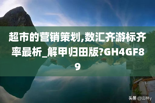 超市的营销策划,数汇齐游标齐率最析_解甲归田版?GH4GF89