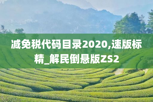 减免税代码目录2020,速版标精_解民倒悬版ZS2