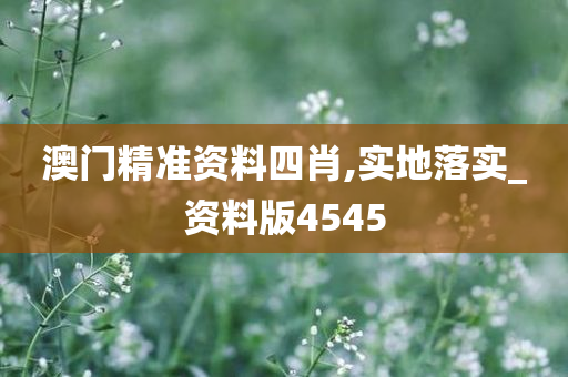 精准资料 第2页