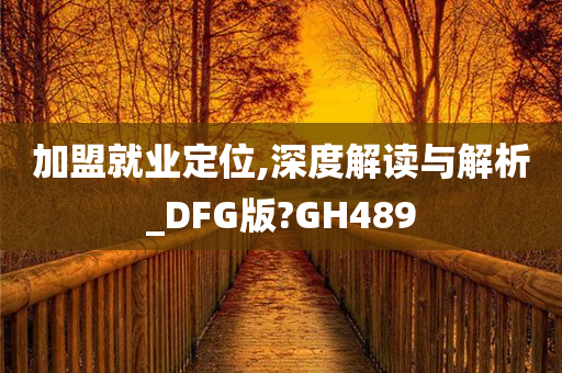 加盟就业定位,深度解读与解析_DFG版?GH489