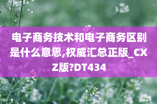 电子商务技术和电子商务区别是什么意思,权威汇总正版_CXZ版?DT434