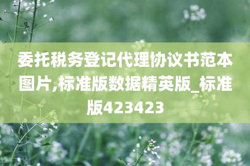 委托税务登记代理协议书范本图片,标准版数据精英版_标准版423423
