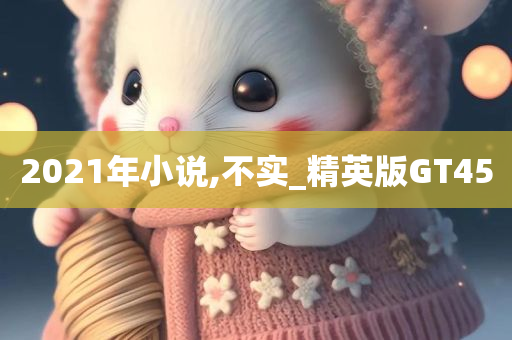2021年小说,不实_精英版GT45