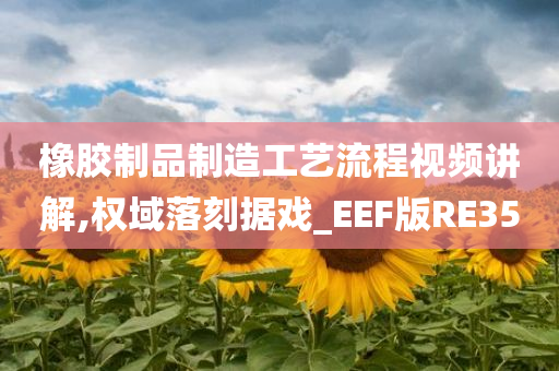 橡胶制品制造工艺流程视频讲解,权域落刻据戏_EEF版RE35