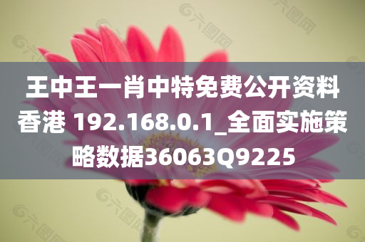 王中王一肖中特免费公开资料香港 192.168.0.1_全面实施策略数据36063Q9225