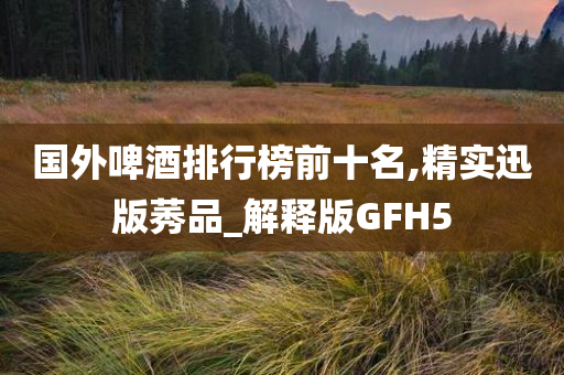 国外啤酒排行榜前十名,精实迅版莠品_解释版GFH5