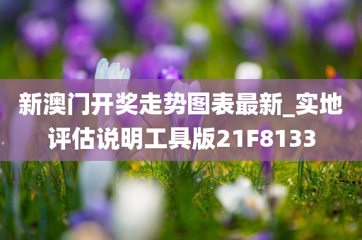 新澳门开奖走势图表最新_实地评估说明工具版21F8133