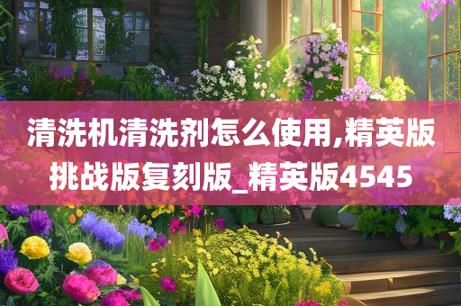 清洗机清洗剂怎么使用,精英版挑战版复刻版_精英版4545