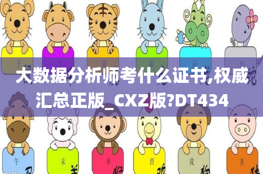 大数据分析师考什么证书,权威汇总正版_CXZ版?DT434