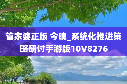 管家婆正版 今晚_系统化推进策略研讨手游版10V8276