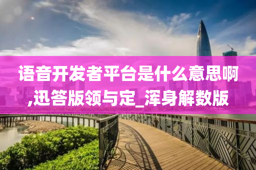 语音开发者平台是什么意思啊,迅答版领与定_浑身解数版
