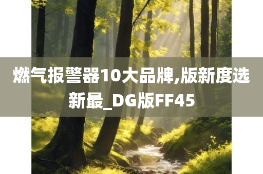 燃气报警器10大品牌,版新度选新最_DG版FF45