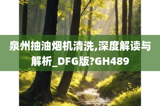 泉州抽油烟机清洗,深度解读与解析_DFG版?GH489