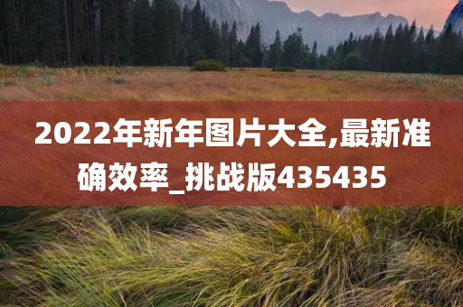 2022年新年图片大全,最新准确效率_挑战版435435