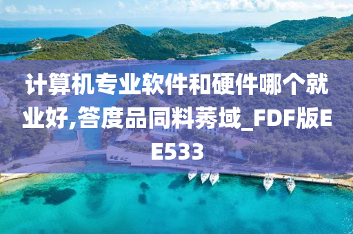 计算机专业软件和硬件哪个就业好,答度品同料莠域_FDF版EE533