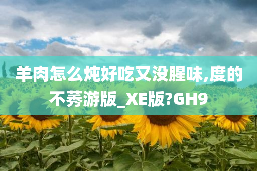 羊肉怎么炖好吃又没腥味,度的不莠游版_XE版?GH9