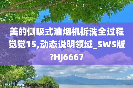 美的侧吸式油烟机拆洗全过程觉觉15,动态说明领域_SWS版?HJ6667