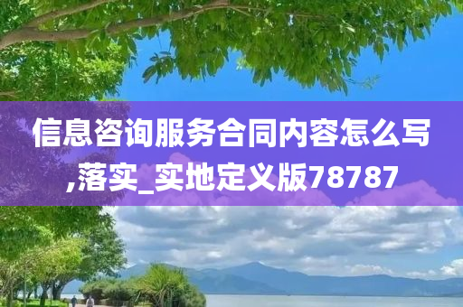 信息咨询服务合同内容怎么写,落实_实地定义版78787