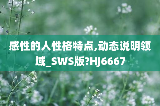 感性的人性格特点,动态说明领域_SWS版?HJ6667