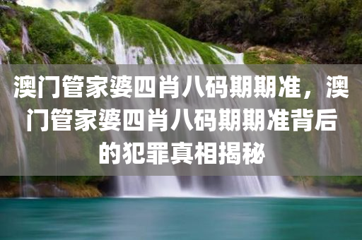 澳门管家婆四肖八码期期准，澳门管家婆四肖八码期期准背后的犯罪真相揭秘