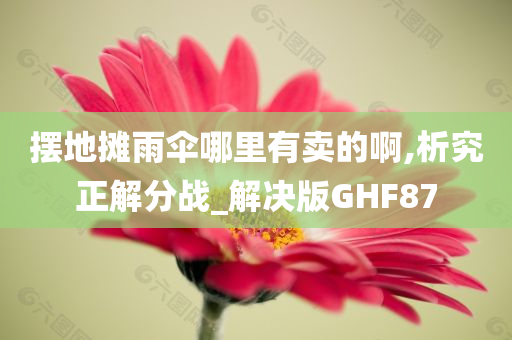 摆地摊雨伞哪里有卖的啊,析究正解分战_解决版GHF87