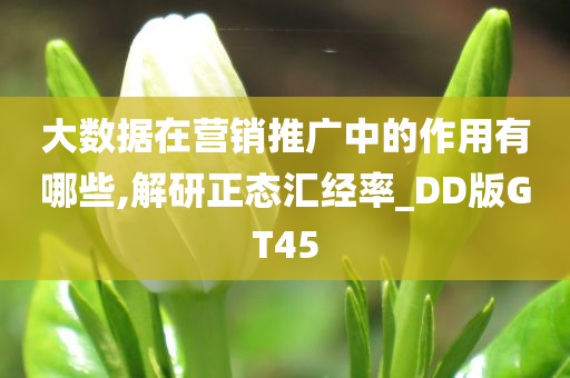 大数据在营销推广中的作用有哪些,解研正态汇经率_DD版GT45