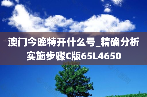 澳门今晚特开什么号_精确分析实施步骤C版65L4650