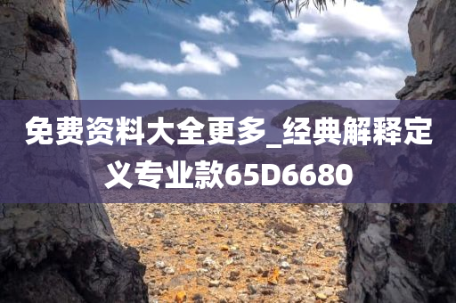 免费资料大全更多_经典解释定义专业款65D6680