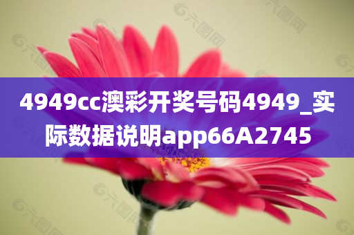4949cc澳彩开奖号码4949_实际数据说明app66A2745