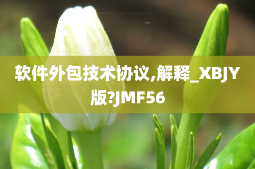 软件外包技术协议,解释_XBJY版?JMF56