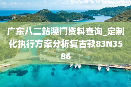 广东八二站澳门资料查询_定制化执行方案分析复古款83N3586