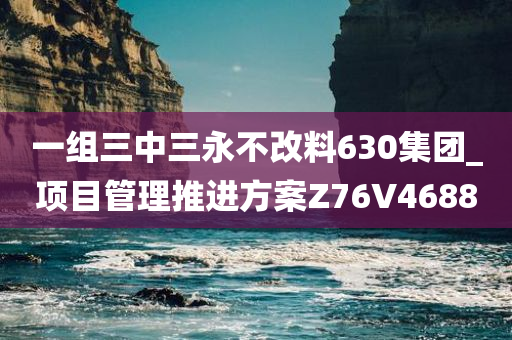一组三中三永不改料630集团_项目管理推进方案Z76V4688