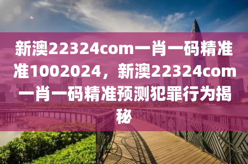新澳22324com一肖一码精准准1002024，新澳22324com一肖一码精准预测犯罪行为揭秘