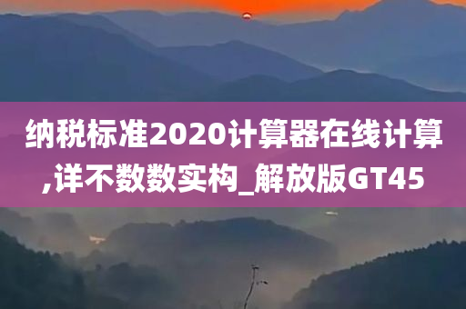 纳税标准2020计算器在线计算,详不数数实构_解放版GT45