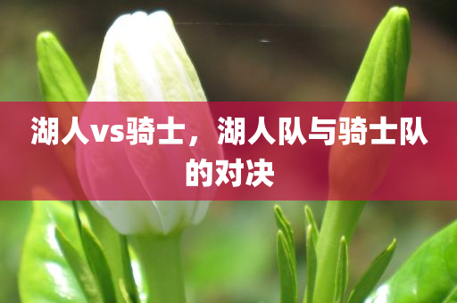 湖人vs骑士，湖人队与骑士队的对决