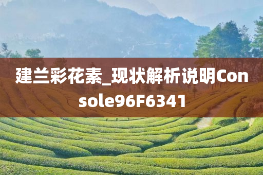 建兰彩花素_现状解析说明Console96F6341