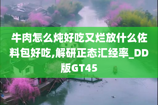 牛肉怎么炖好吃又烂放什么佐料包好吃,解研正态汇经率_DD版GT45