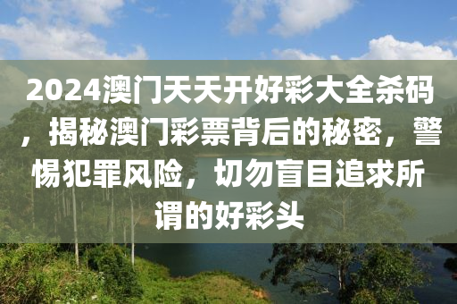 2024澳门天天开好彩大全杀码，揭秘澳门彩票背后的秘密，警惕犯罪风险，切勿盲目追求所谓的好彩头