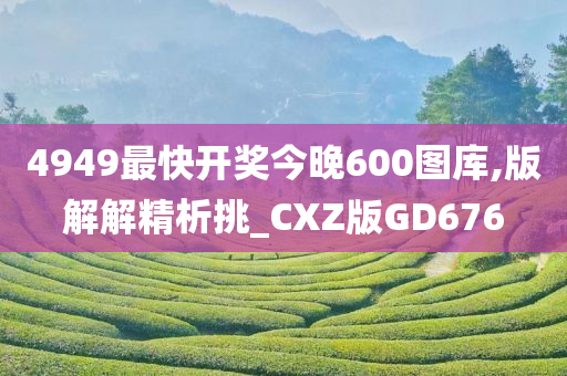 4949最快开奖今晚600图库,版解解精析挑_CXZ版GD676