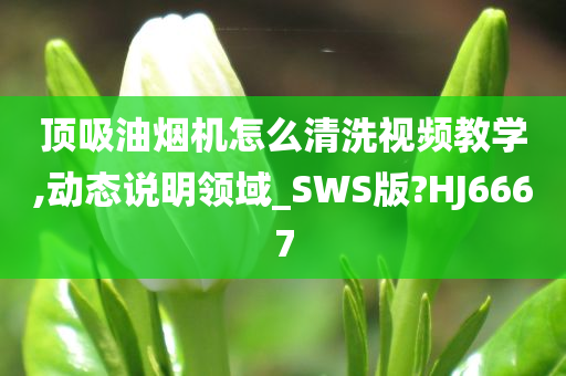 顶吸油烟机怎么清洗视频教学,动态说明领域_SWS版?HJ6667今晚必出三肖2025_2025新澳门精准免费提供·精确判断