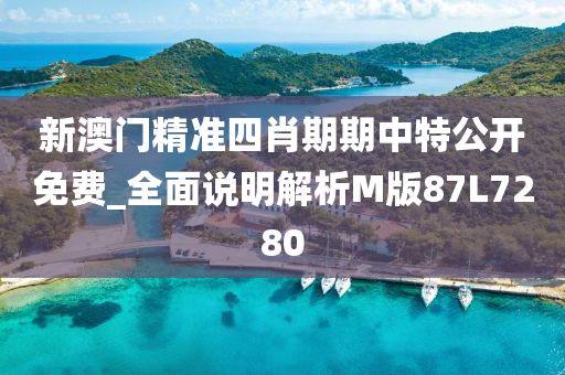 新澳门精准四肖期期中特公开免费_全面说明解析M版87L7280