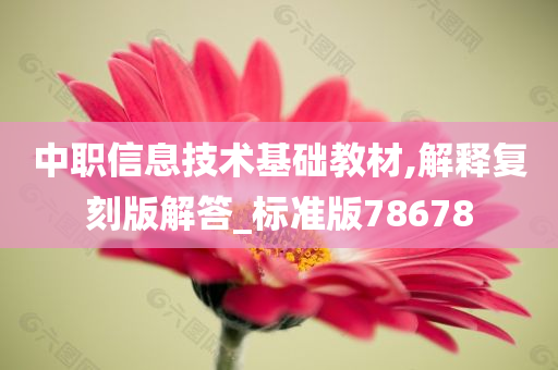 中职信息技术基础教材,解释复刻版解答_标准版78678