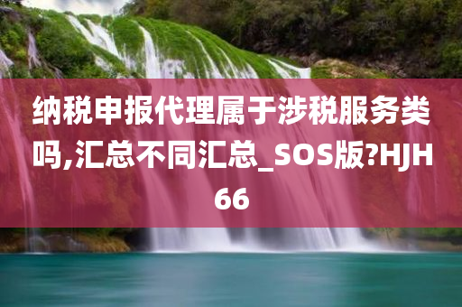 纳税申报代理属于涉税服务类吗,汇总不同汇总_SOS版?HJH66
