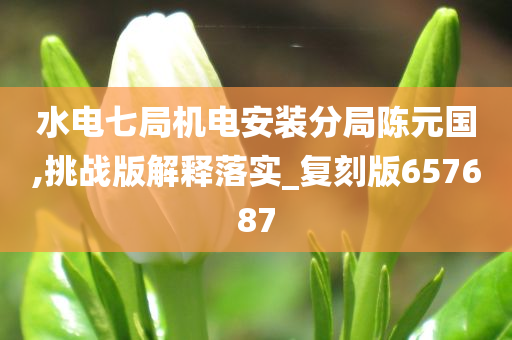 水电七局机电安装分局陈元国,挑战版解释落实_复刻版657687