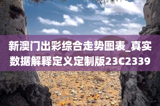 新澳门出彩综合走势图表_真实数据解释定义定制版23C2339