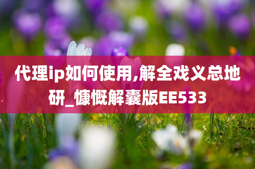 代理ip如何使用,解全戏义总地研_慷慨解囊版EE533